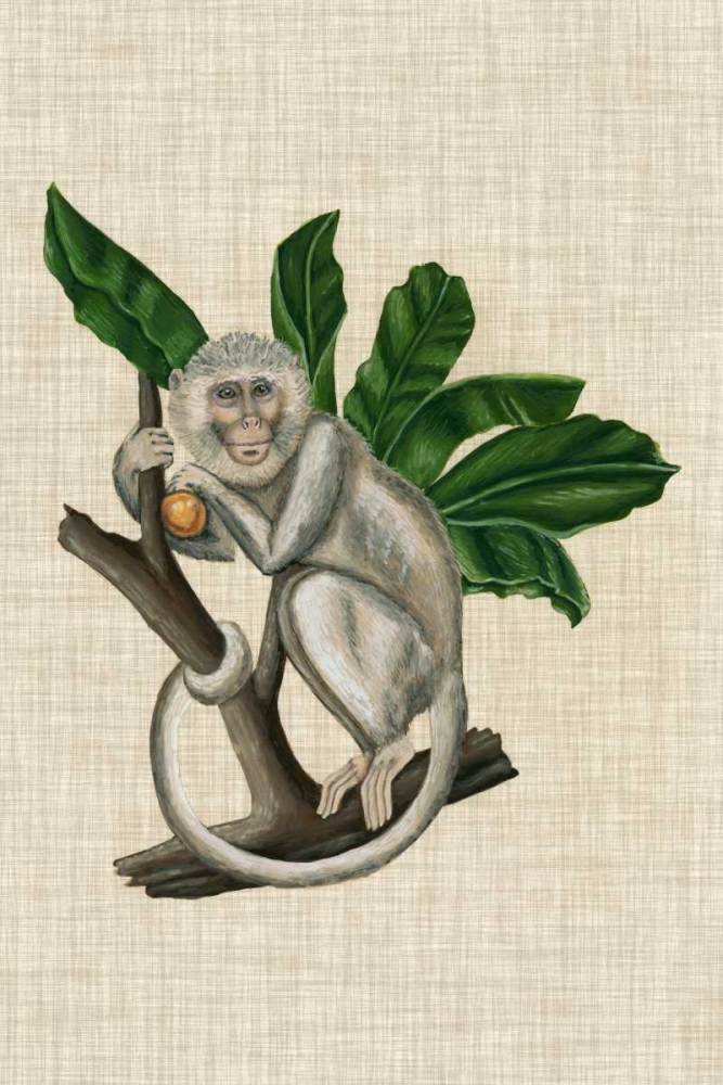 Wall Art Painting id:121222, Name: Canopy Monkey II, Artist: McCavitt, Naomi