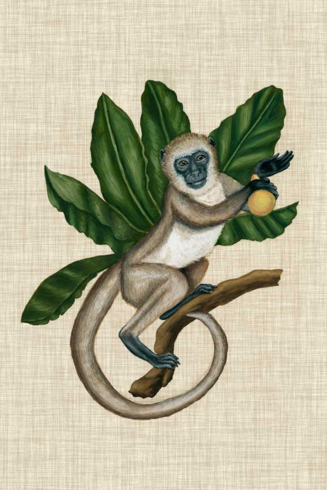 Wall Art Painting id:121223, Name: Canopy Monkey III, Artist: McCavitt, Naomi