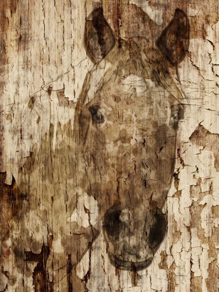 Art Print: Champagne Horse I