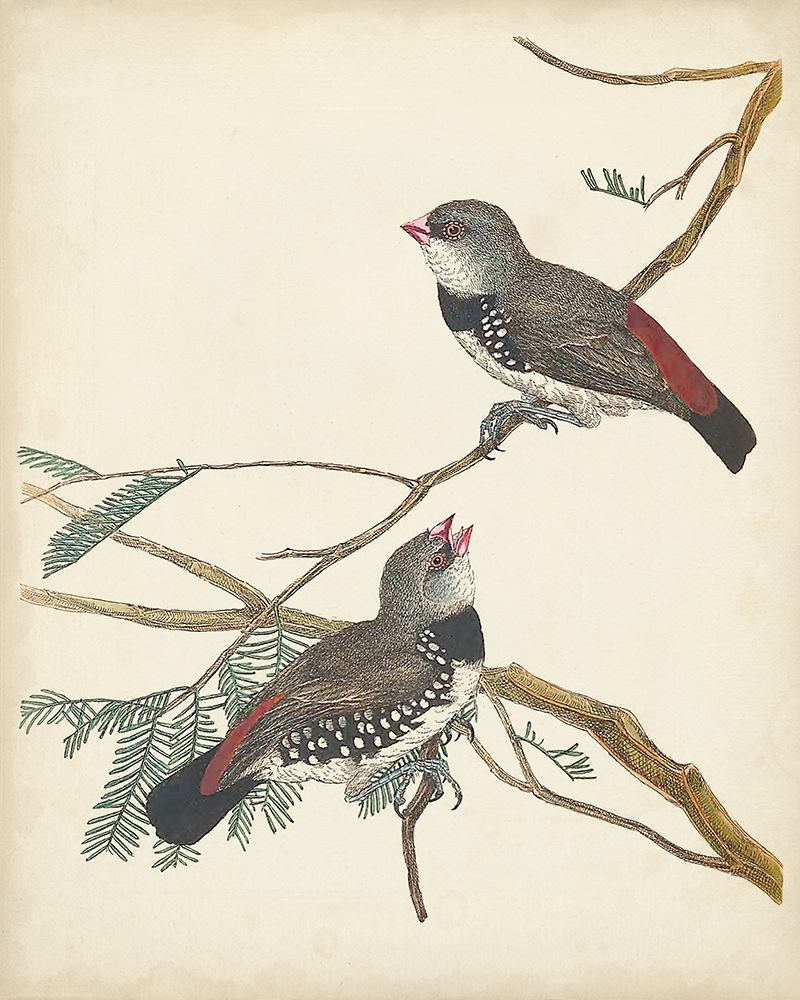 Wall Art Painting id:275421, Name: Graceful Birds I, Artist: Vision Studio 