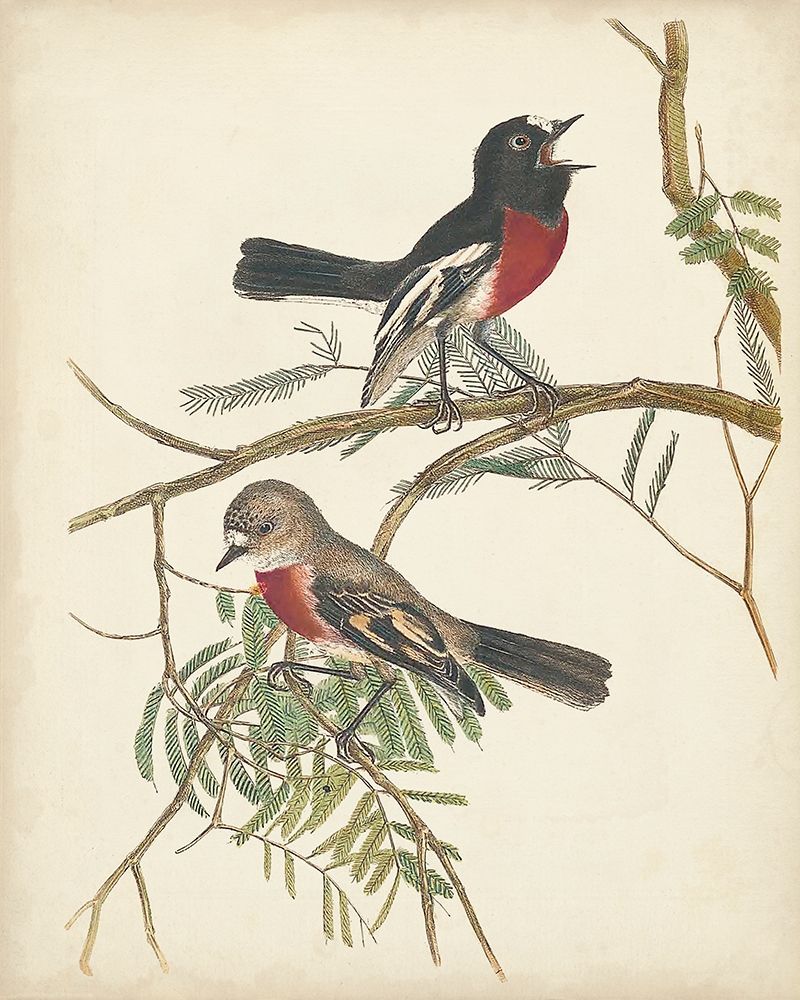 Wall Art Painting id:275424, Name: Graceful Birds IV, Artist: Vision Studio 