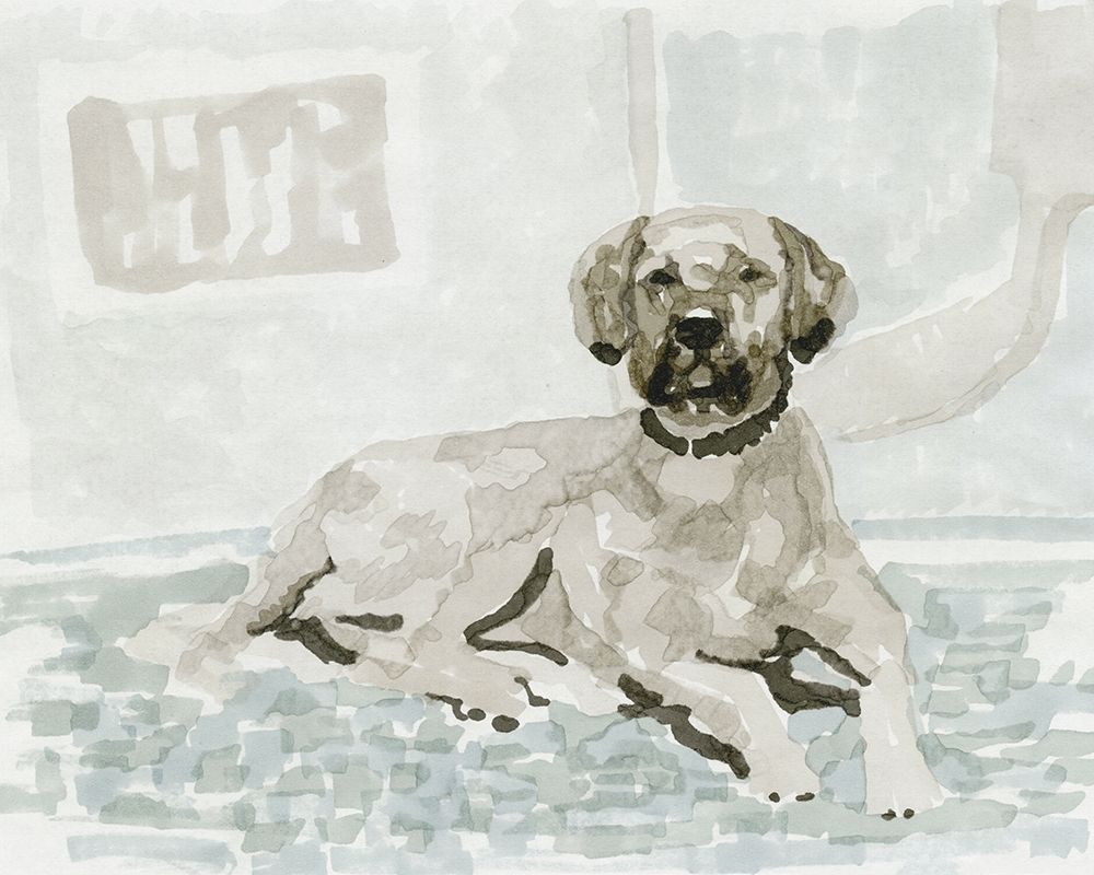 Wall Art Painting id:286097, Name: Dog Study I, Artist: Stellar Design Studio