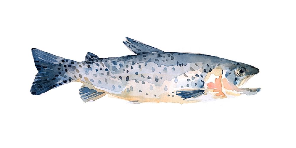 Art Print: Freckled Trout IV