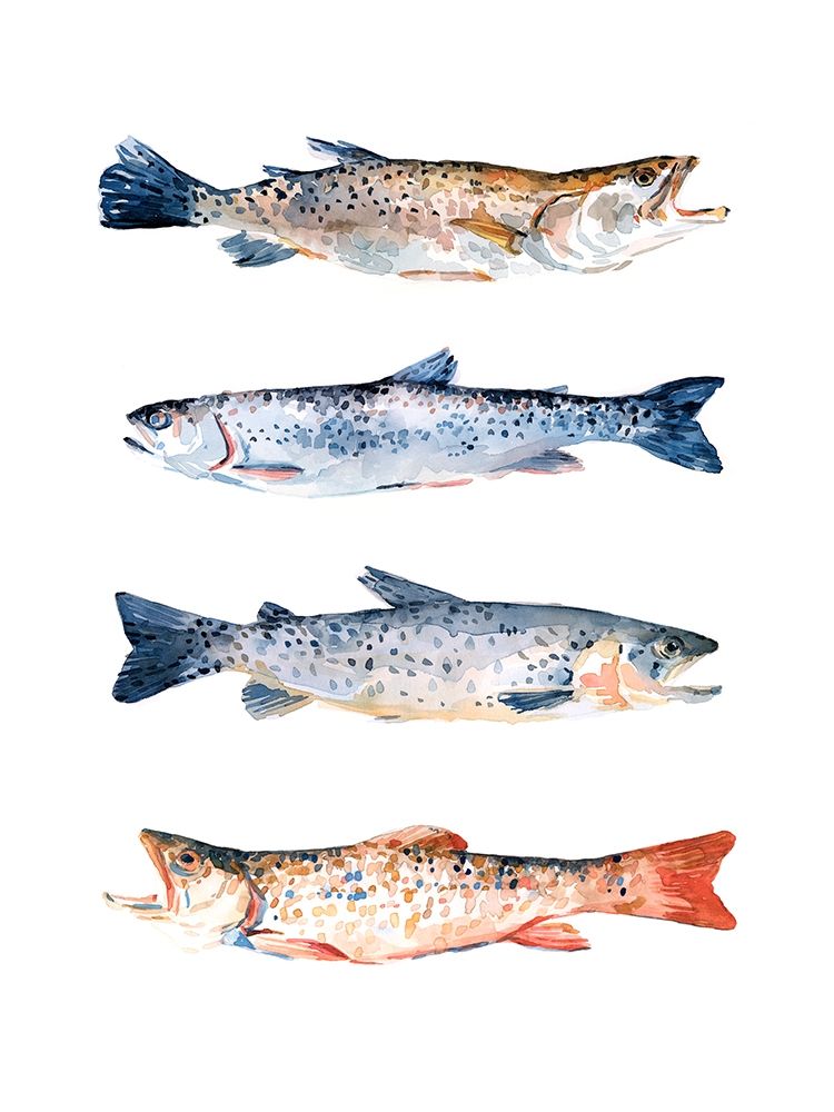 Art Print: Stacked Trout I