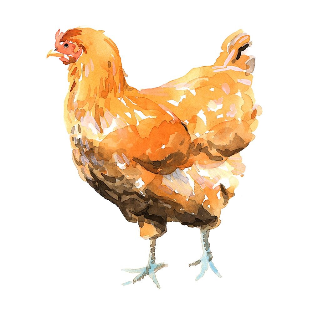 Art Print: Wild Chicken II