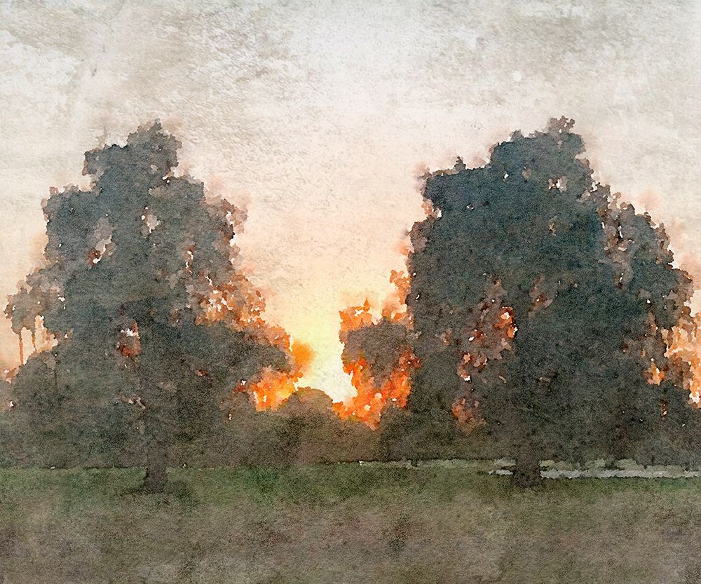 Art Print: November Morning Mist II