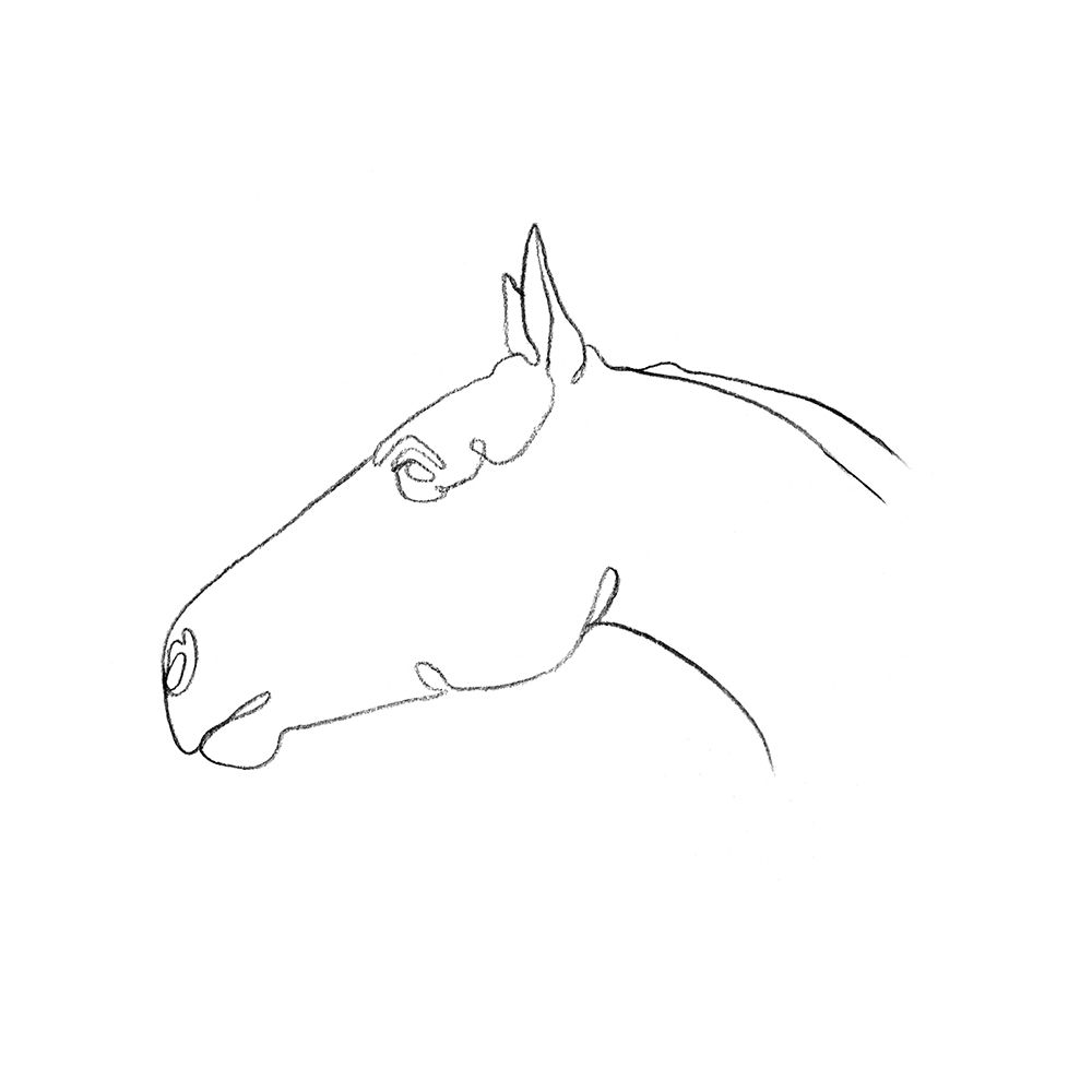 Wall art: Equine Pencil Contour I, by Scarvey, Emma