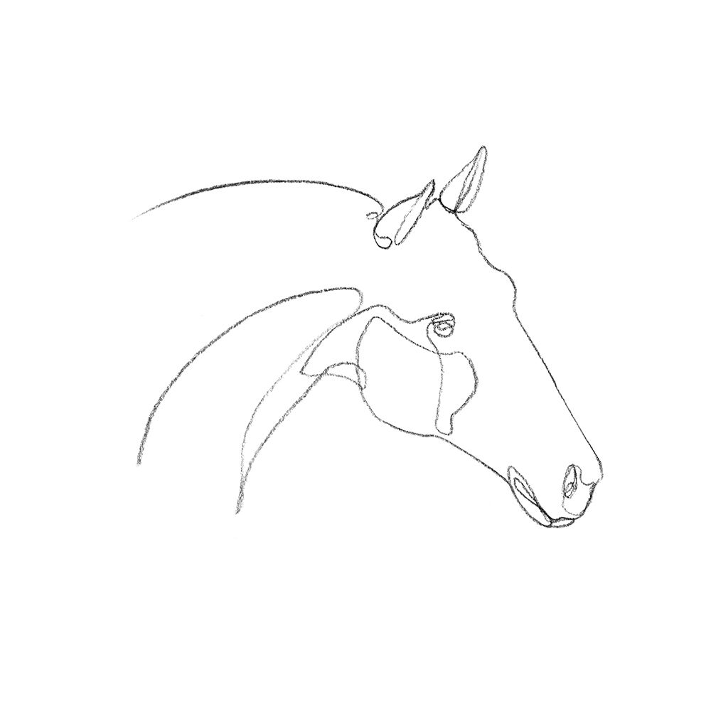 Wall art: Equine Pencil Contour II, by Scarvey, Emma