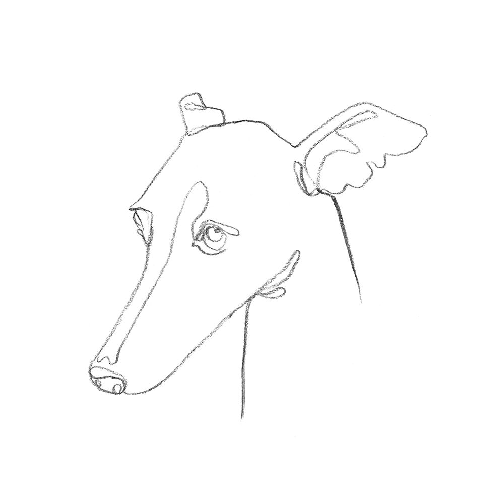 Wall art: Greyhound Pencil Portrait I, by Scarvey, Emma