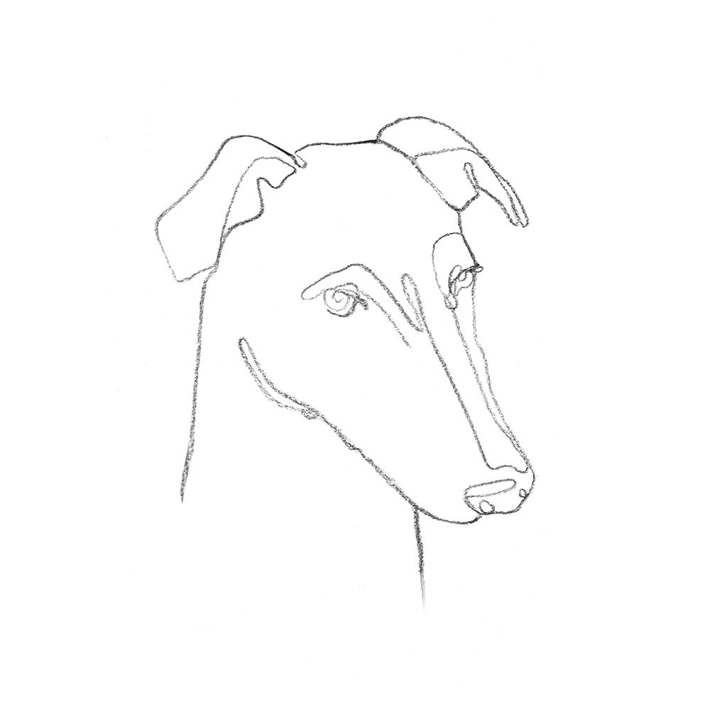 Wall art: Greyhound Pencil Portrait II, by Scarvey, Emma