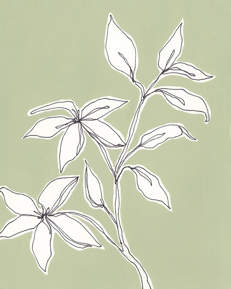 Wall art: Botanic Drawing I, by Moore, Regina