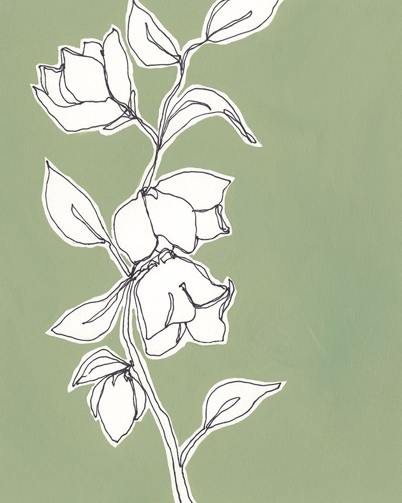 Wall art: Botanic Drawing II, by Moore, Regina
