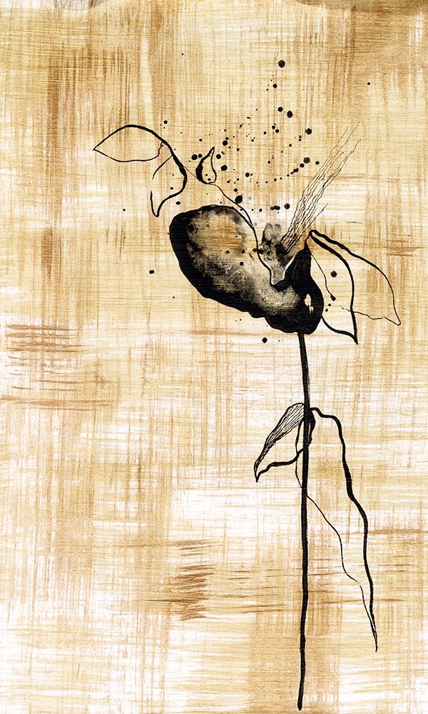 Wall Art Painting id:302161, Name: Gilded Beauty III, Artist: Liama, Lily