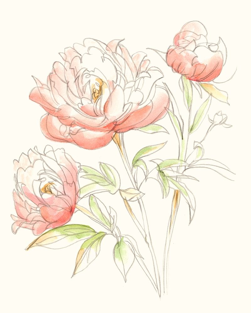 Wall Art Painting id:302518, Name: Watercolor Floral Variety III, Artist: Harper, Ethan