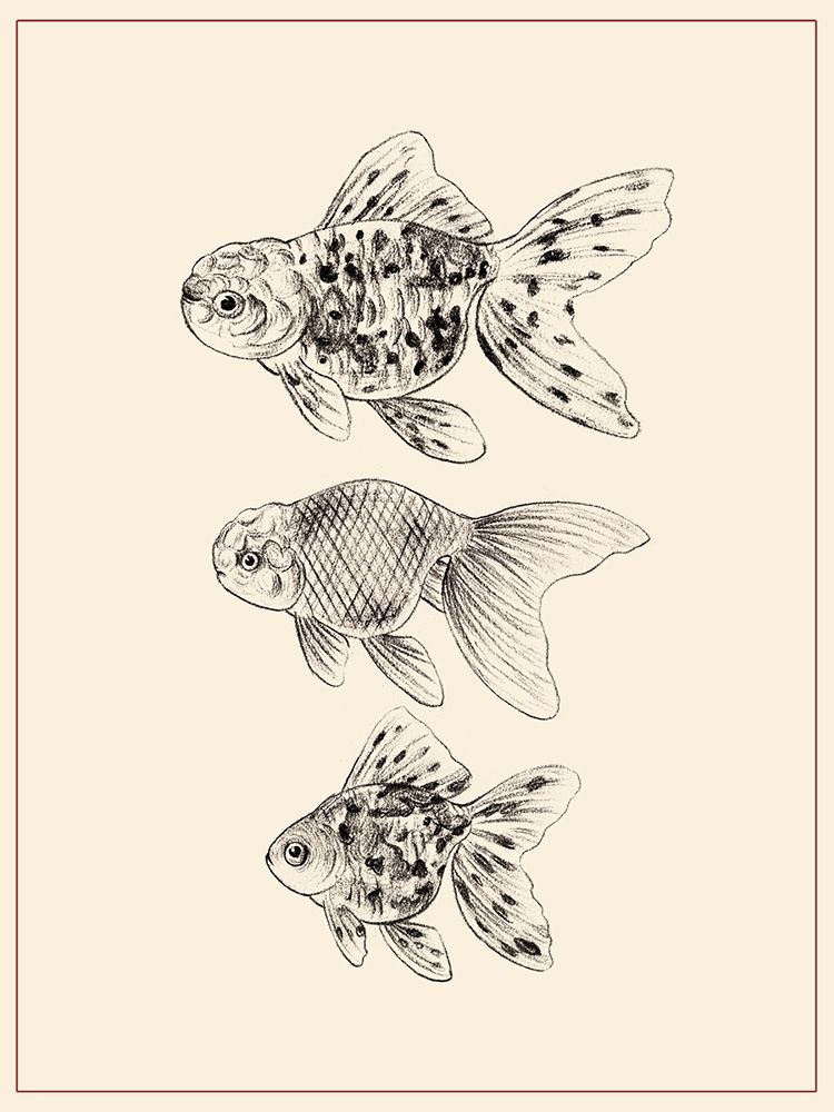 Wall art: Goldfish II, by Wang, Melissa