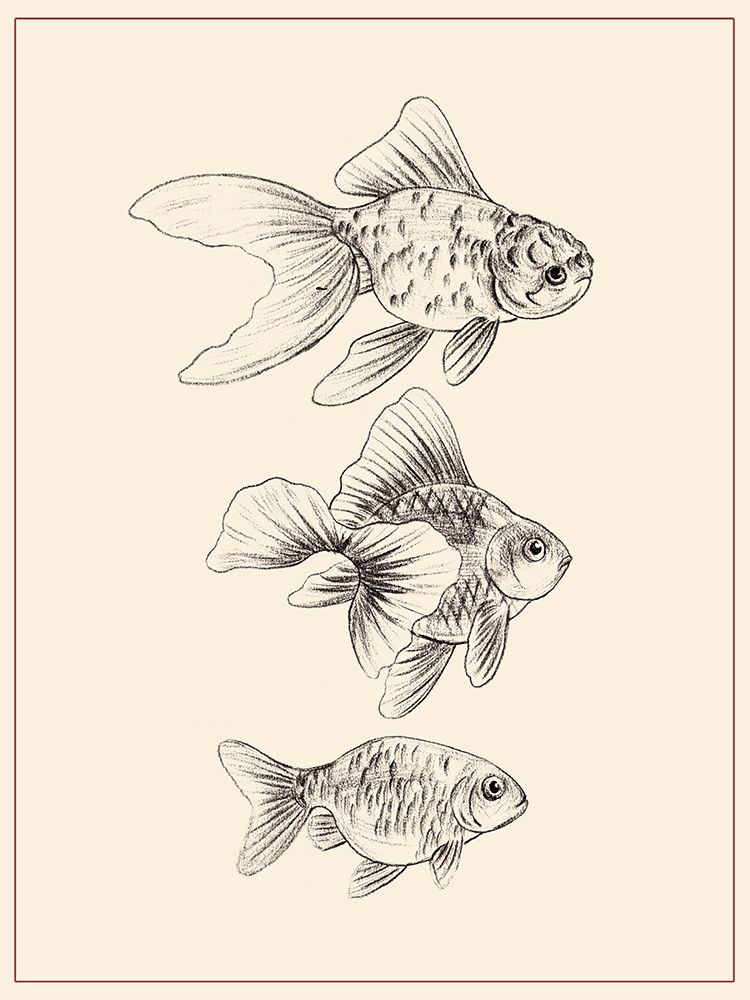 Art Print: Goldfish III
