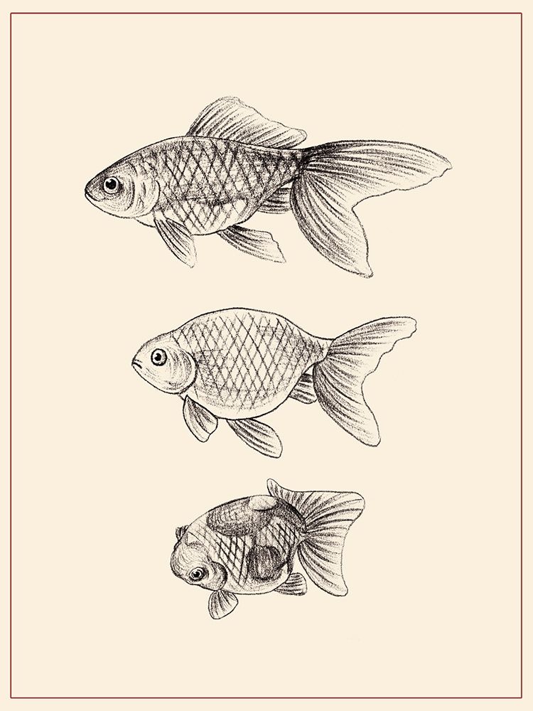 Art Print: Goldfish IV