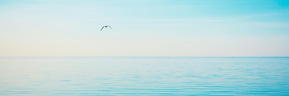 Art Print: Beachscape Panorama XII