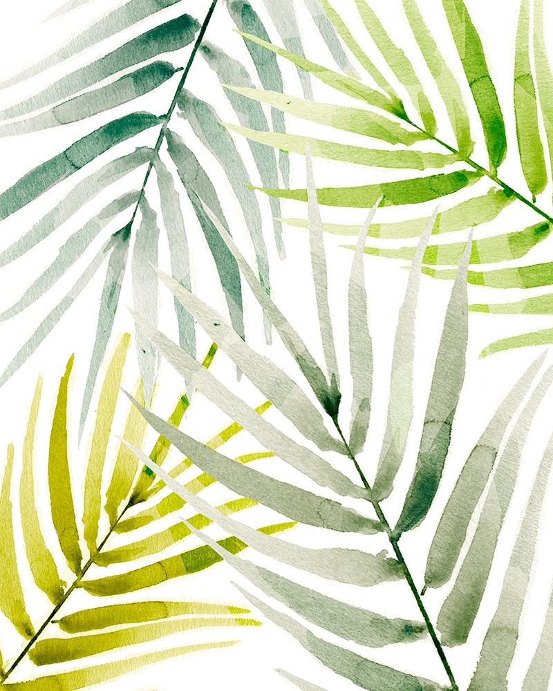 Art Print: Shady Palm I
