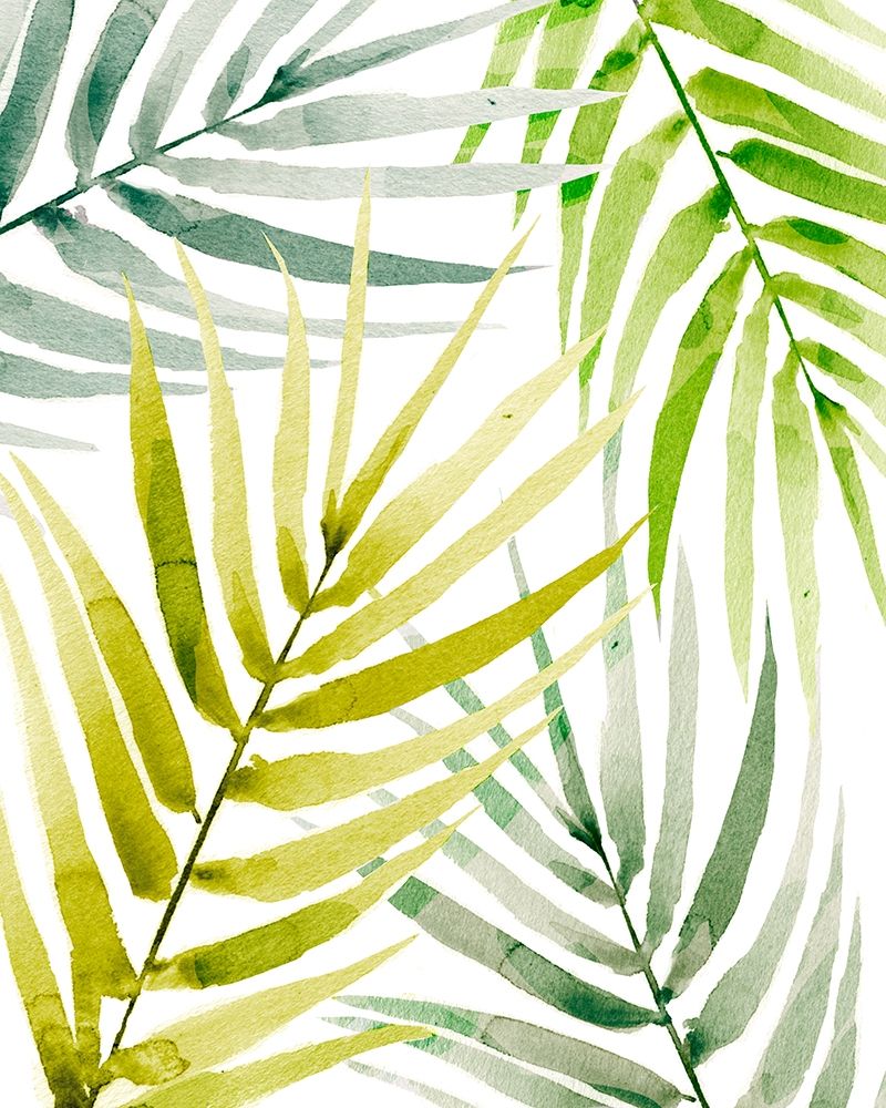 Art Print: Shady Palm II