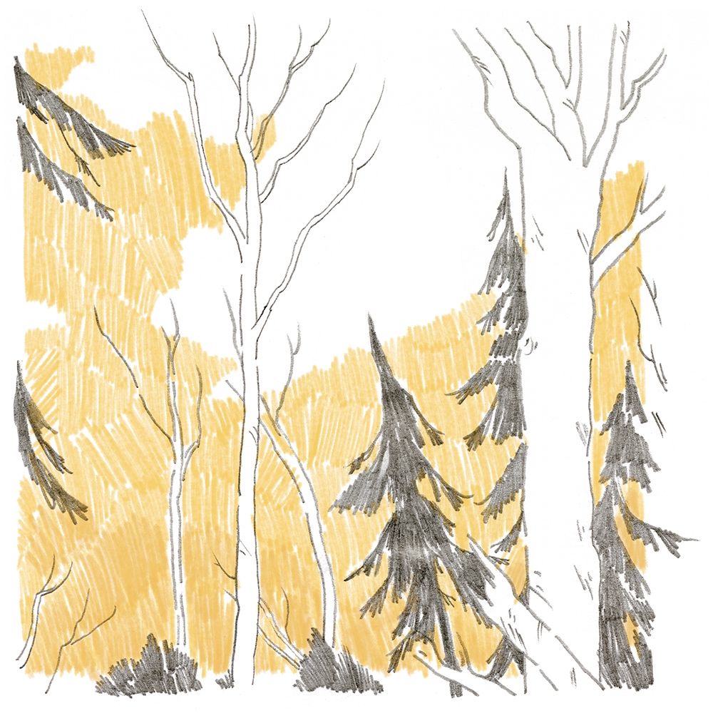 Art Print: Northwood I