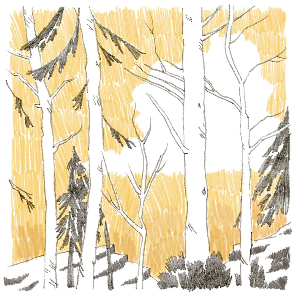 Art Print: Northwood II