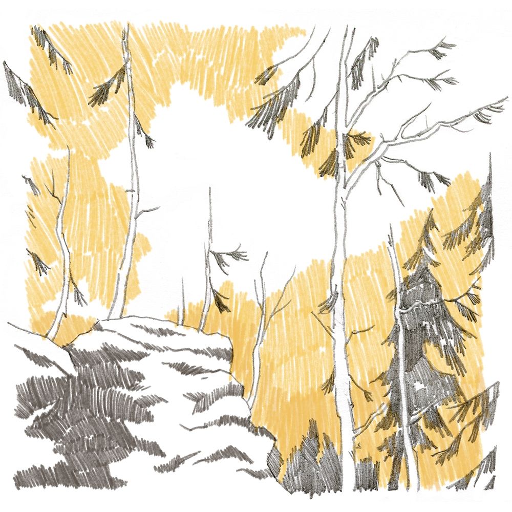 Art Print: Northwood III