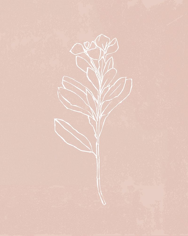 Art Print: Blush Bloom I