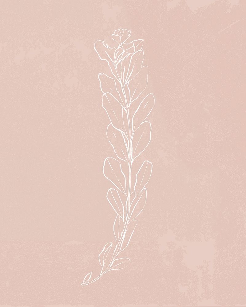 Art Print: Blush Bloom II