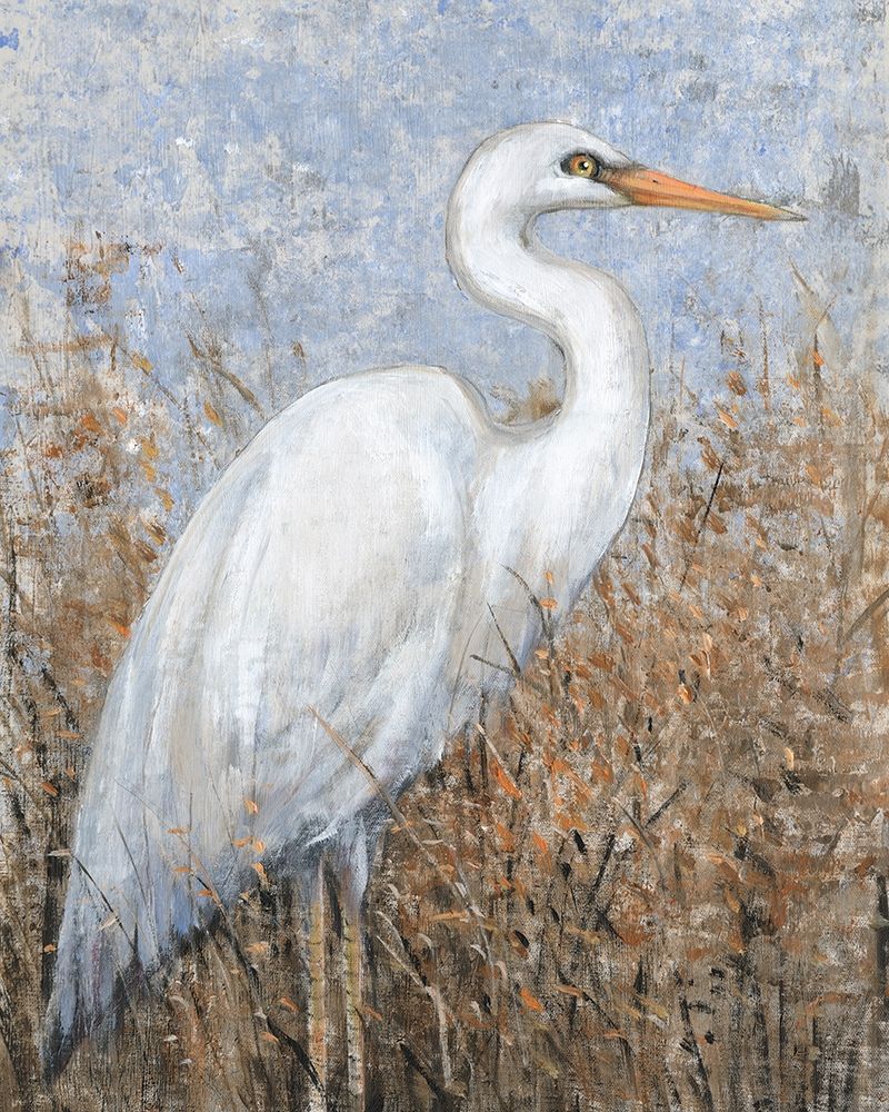 Art Print: White Heron I