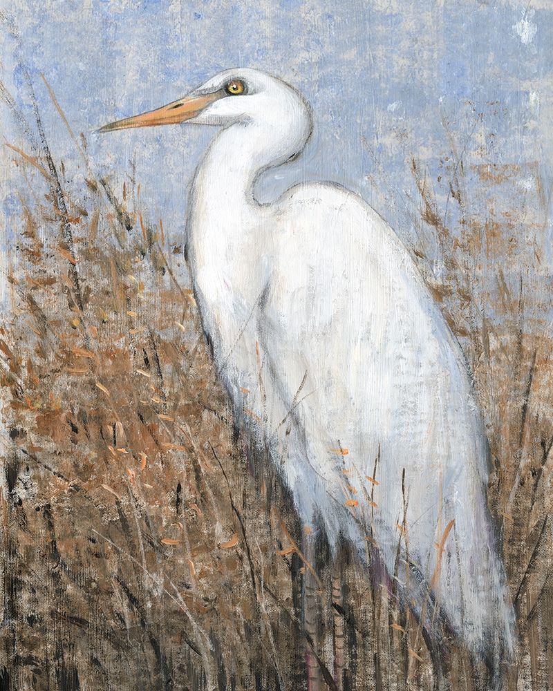 Art Print: White Heron II