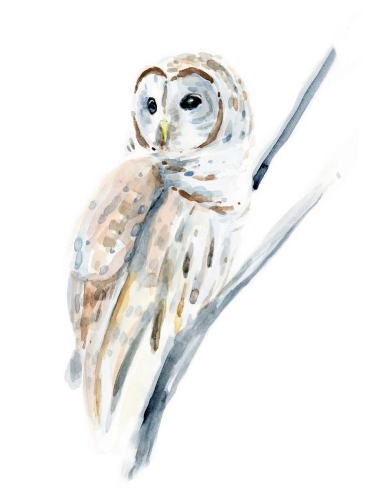 Art Print: Arctic Owl I