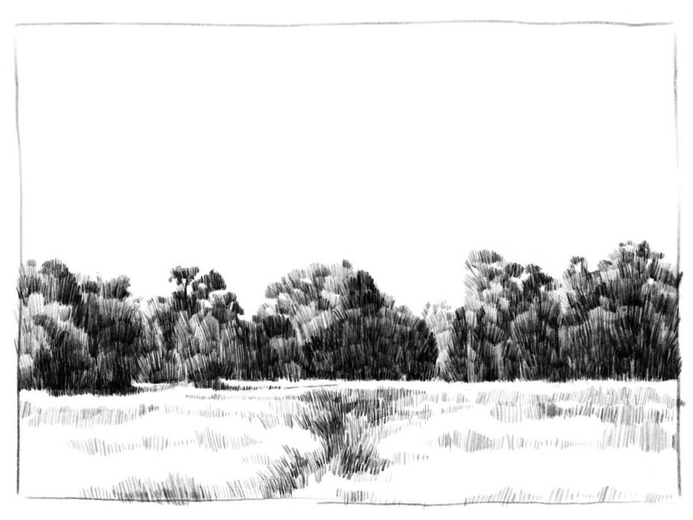 Art Print: Northern Neck Landscape I