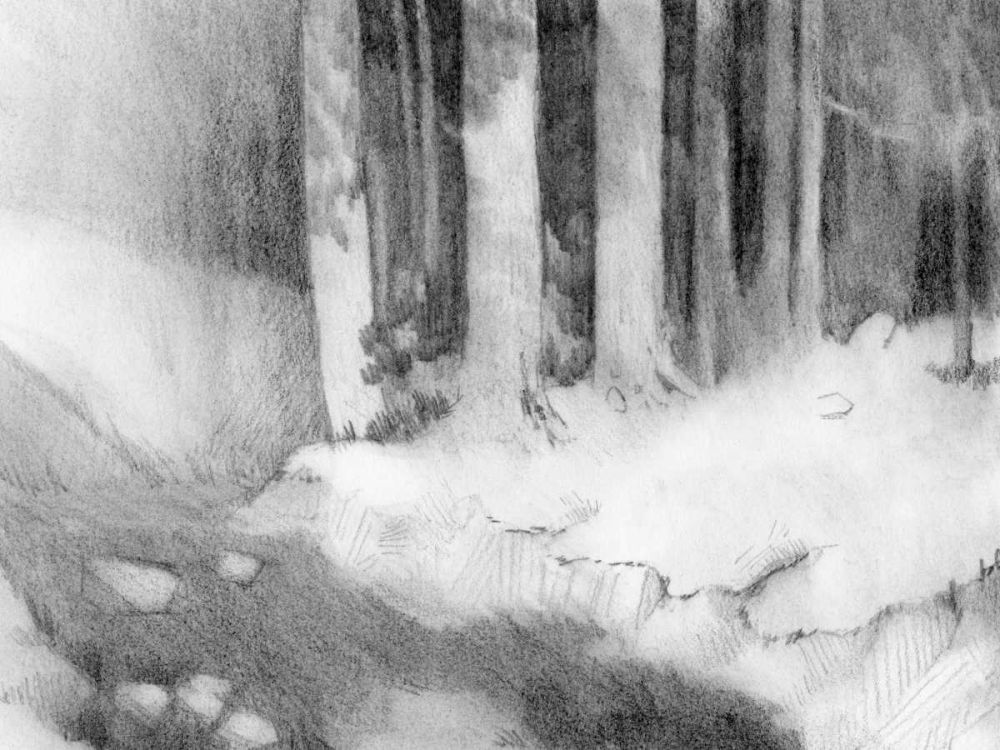 Art Print: Graphite Glade I