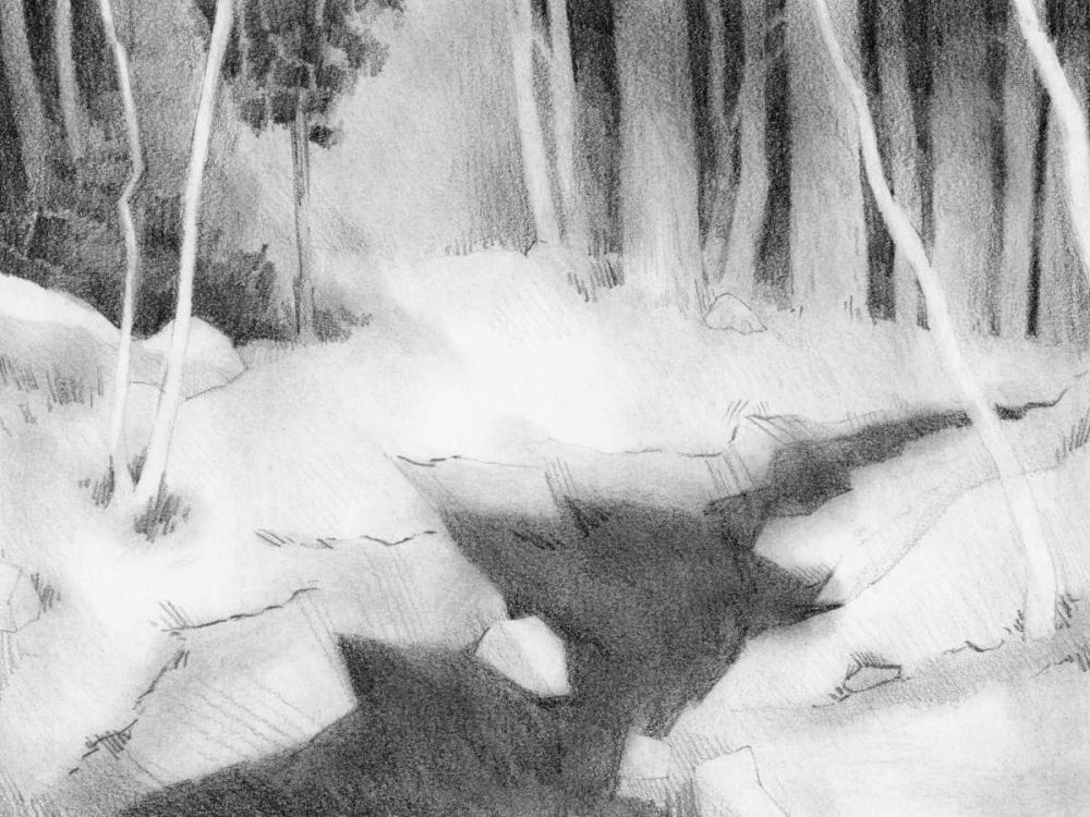 Art Print: Graphite Glade II