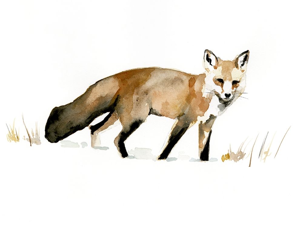 Wall Art Painting id:339655, Name: Winter Fox I, Artist: Barnes, Victoria