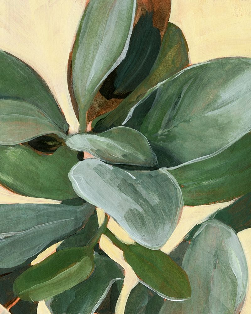 Art Print: Plant Study I