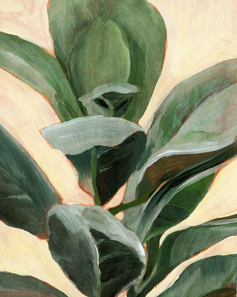 Art Print: Plant Study II