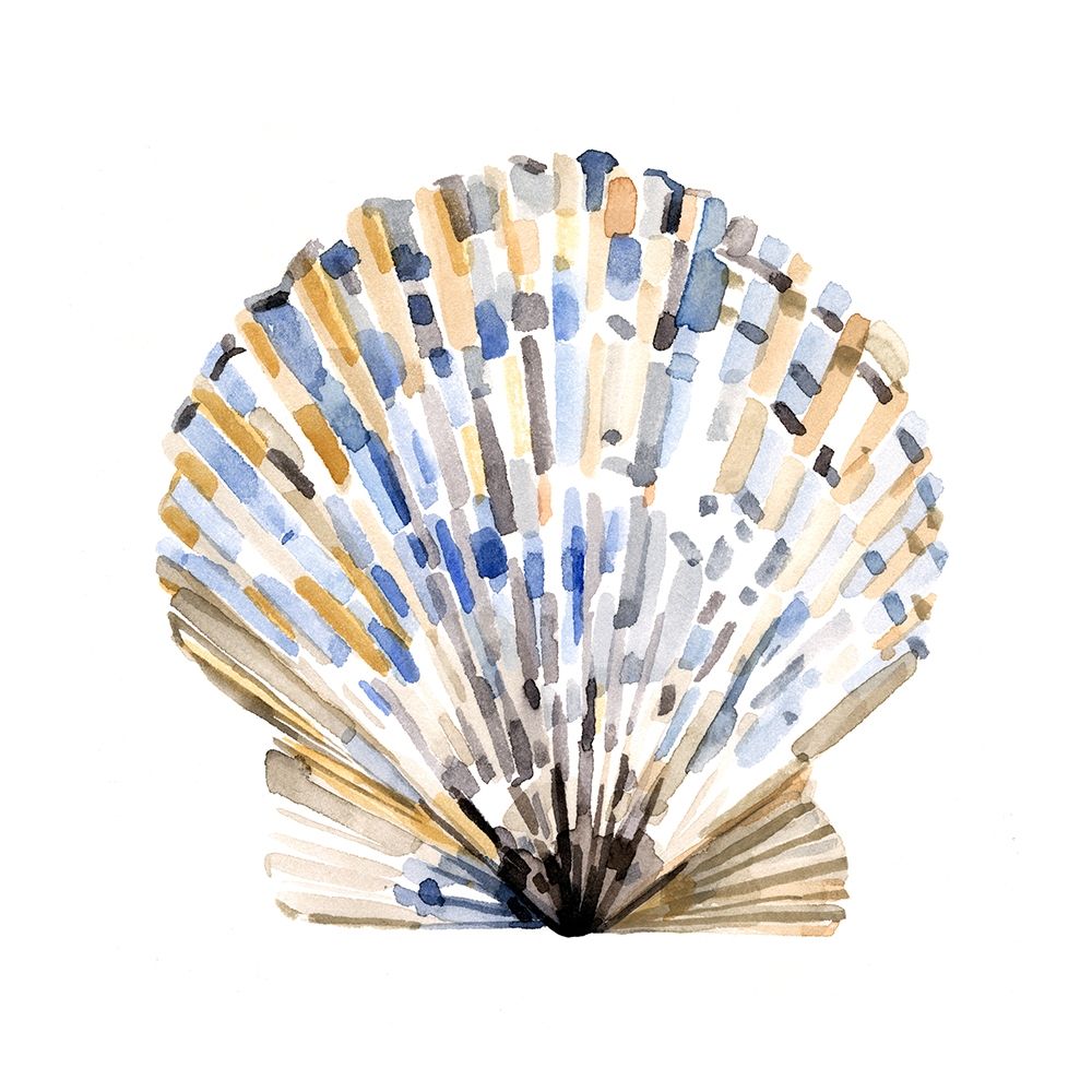 Art Print: Simple Shells I