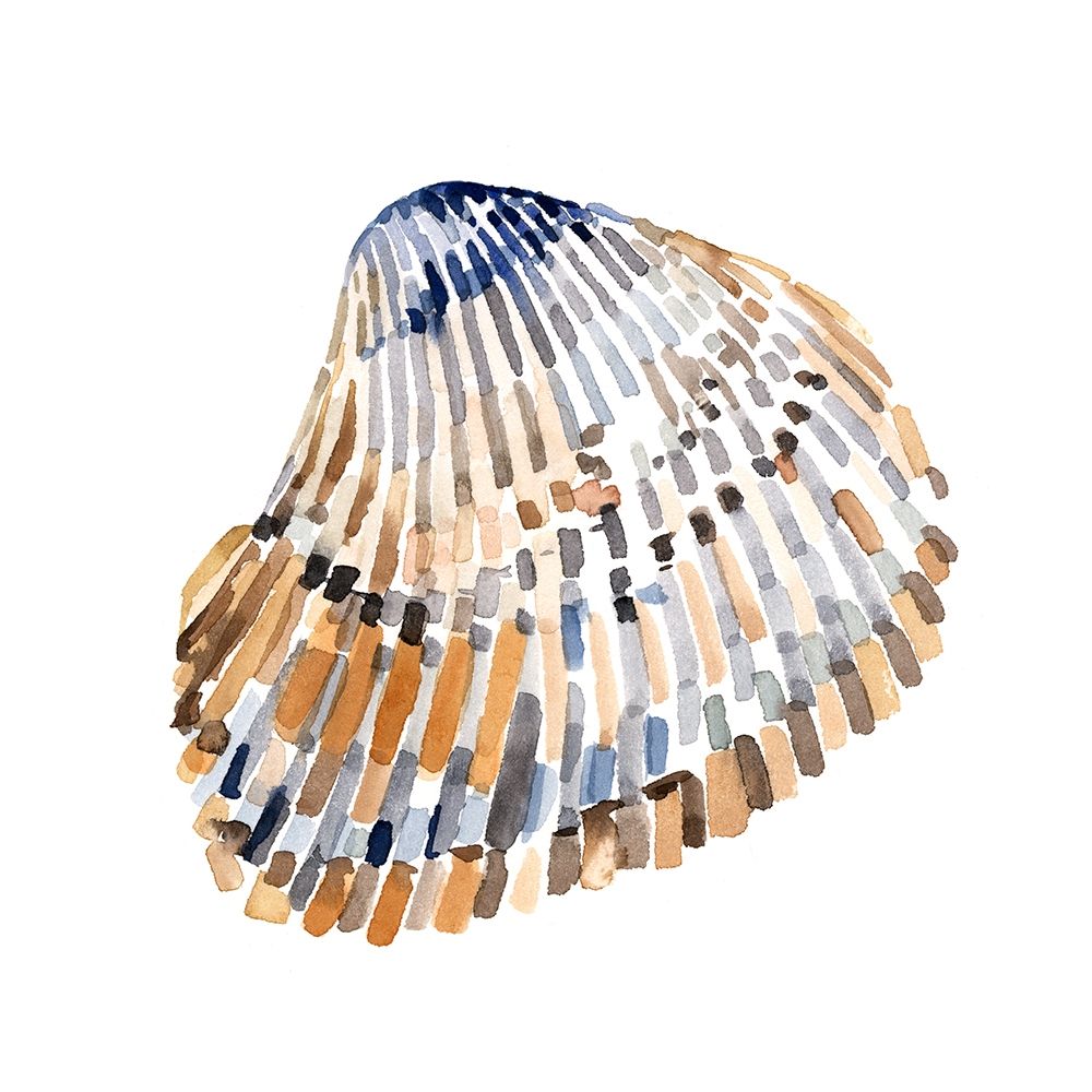 Art Print: Simple Shells II