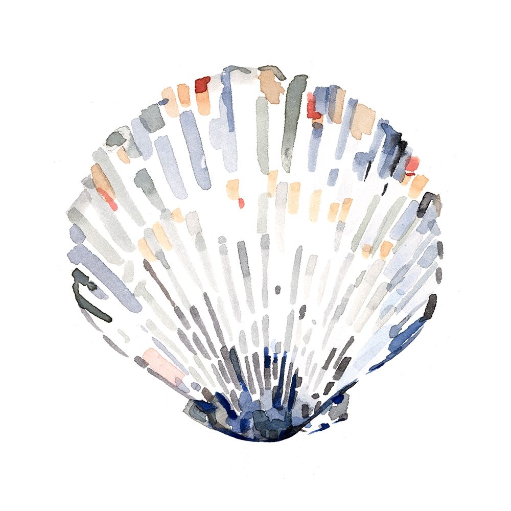 Art Print: Simple Shells III