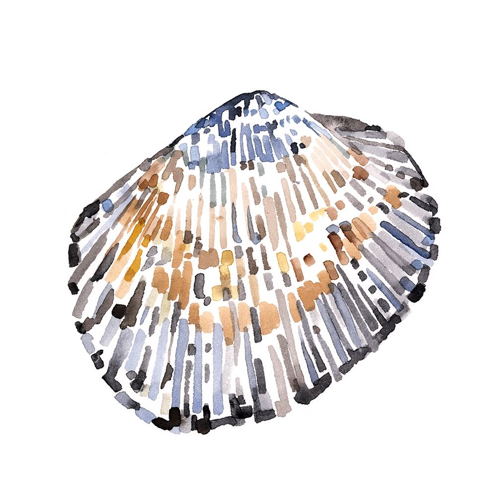 Art Print: Simple Shells IV