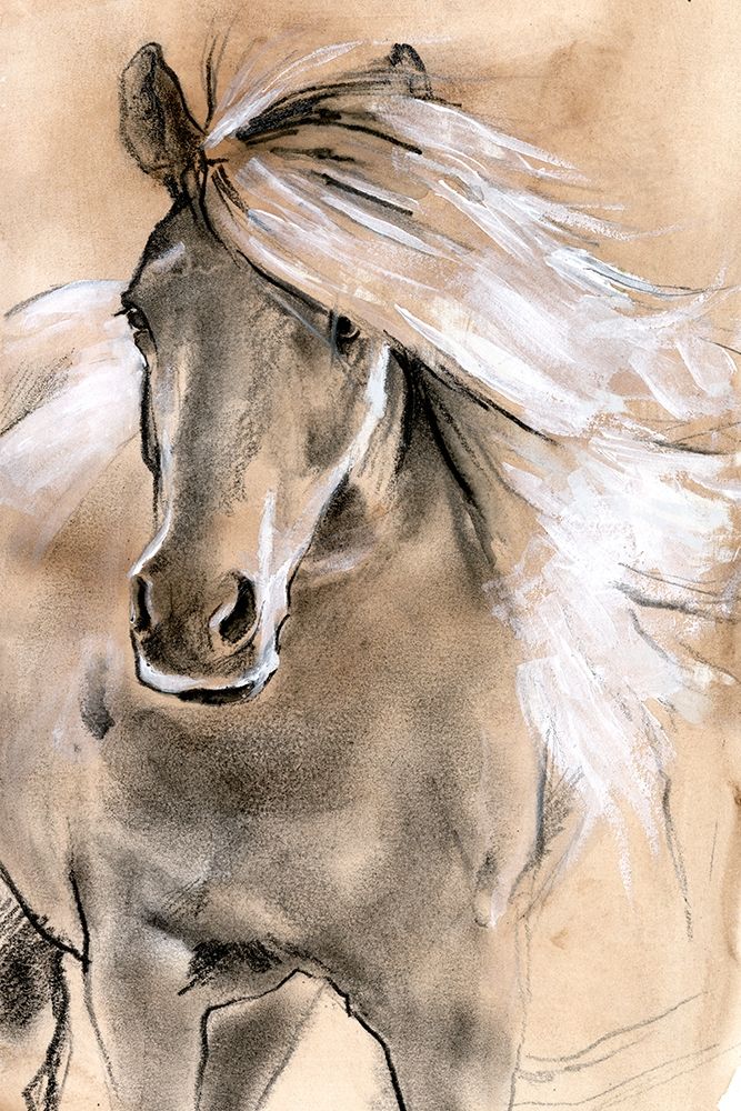 Art Print: Sketched Horse I
