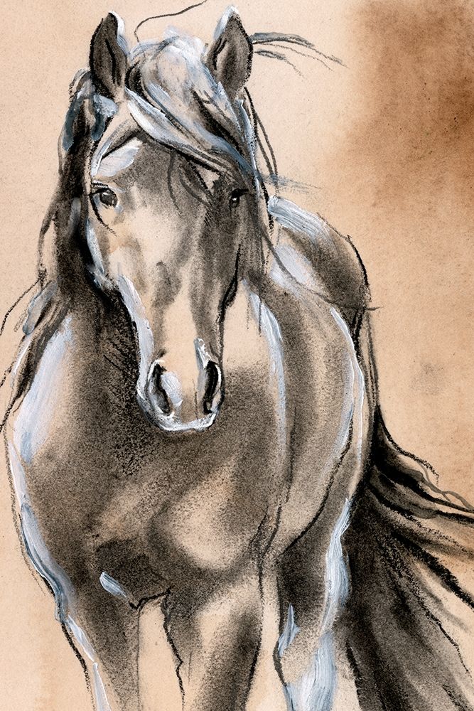 Art Print: Sketched Horse II