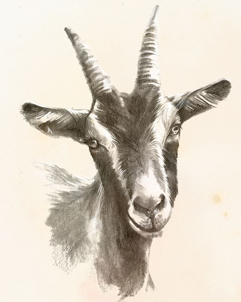 Art Print: Sketched Farm Portraits II