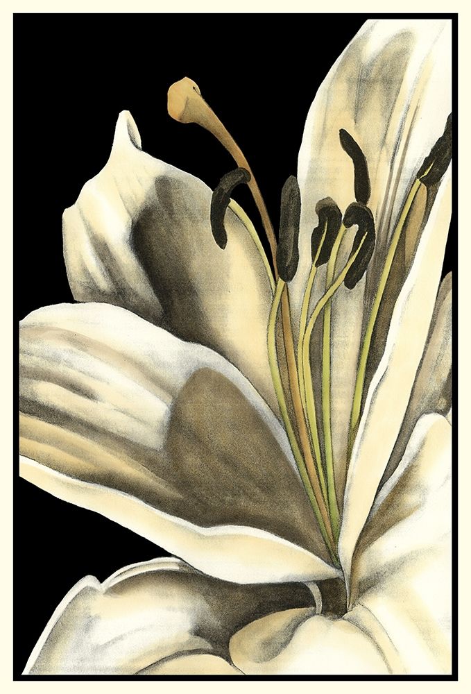 Wall art: Graphic Lily III, by Goldberger, Jennifer
