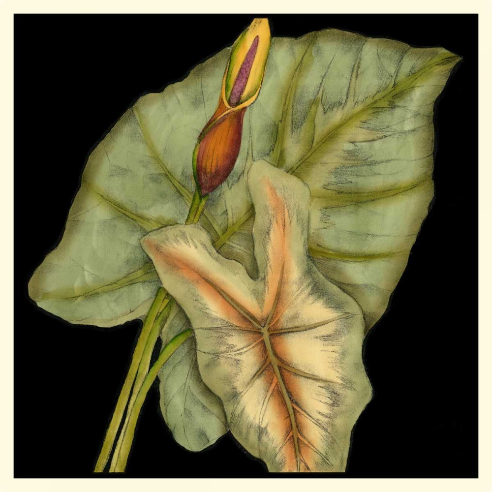 Art Print: Graphic Tropicals I