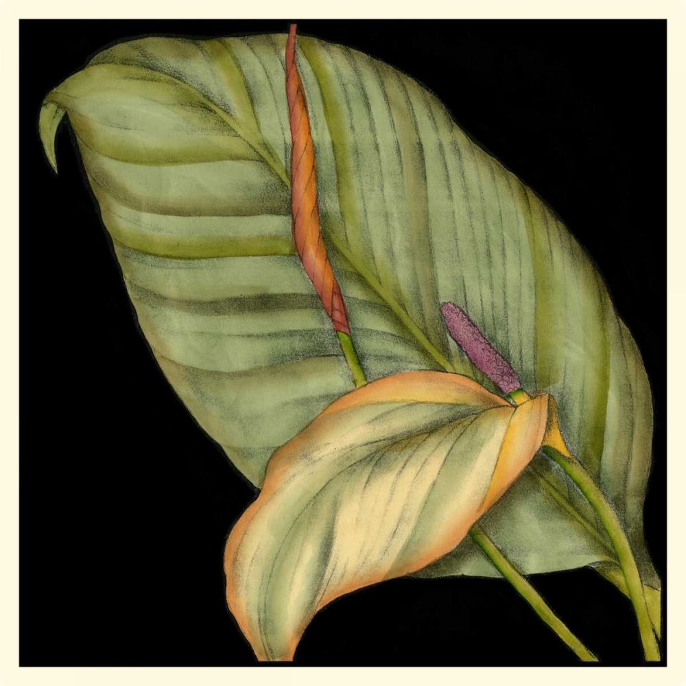 Art Print: Graphic Tropicals II