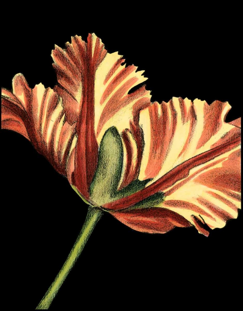 Wall Art Painting id:49581, Name: Vibrant Tulips I, Artist: Harper, Ethan