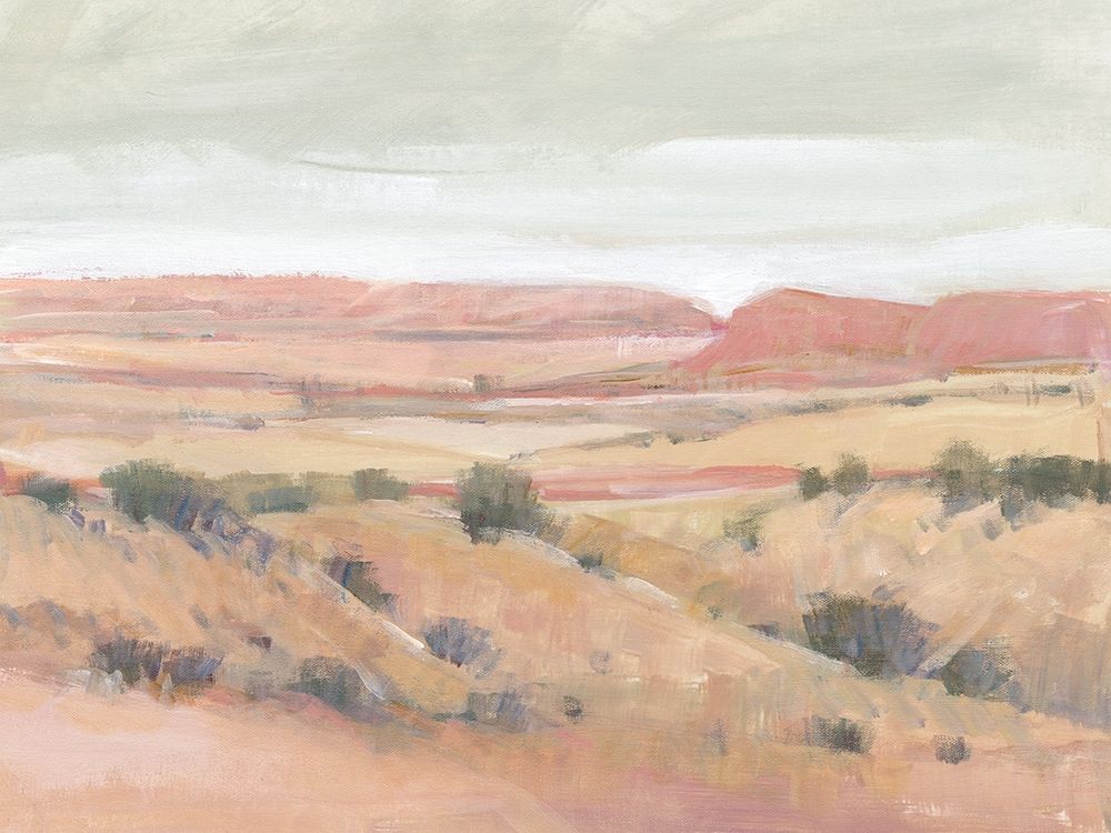 Wall Art Painting id:433703, Name: Southwest Landscape I, Artist: OToole, Tim